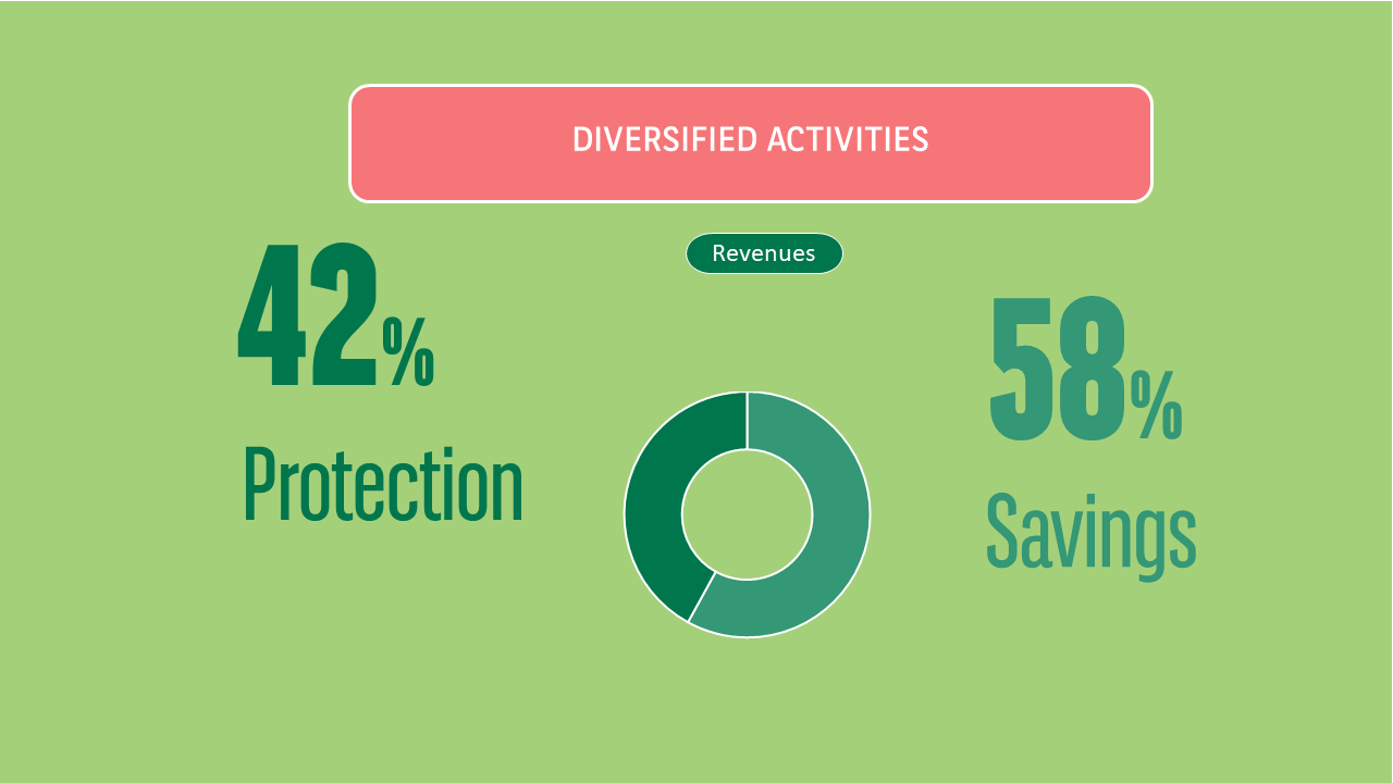 Leader worldwide in creditor insurance. Diversified activites and distribution. 58% savings and 42% protection 