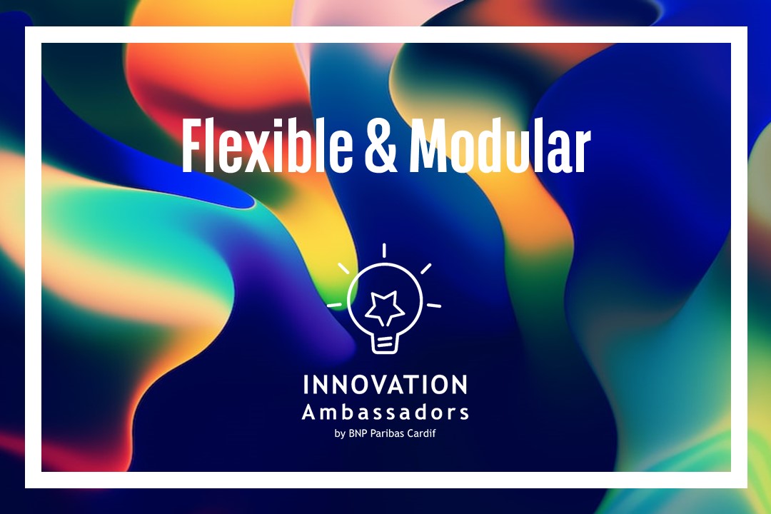 vignette flexible & modular